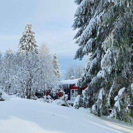 Baude Steinheid Am Rennsteig Mit 12 Betten Экстерьер фото