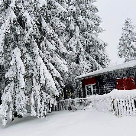 Baude Steinheid Am Rennsteig Mit 12 Betten Экстерьер фото